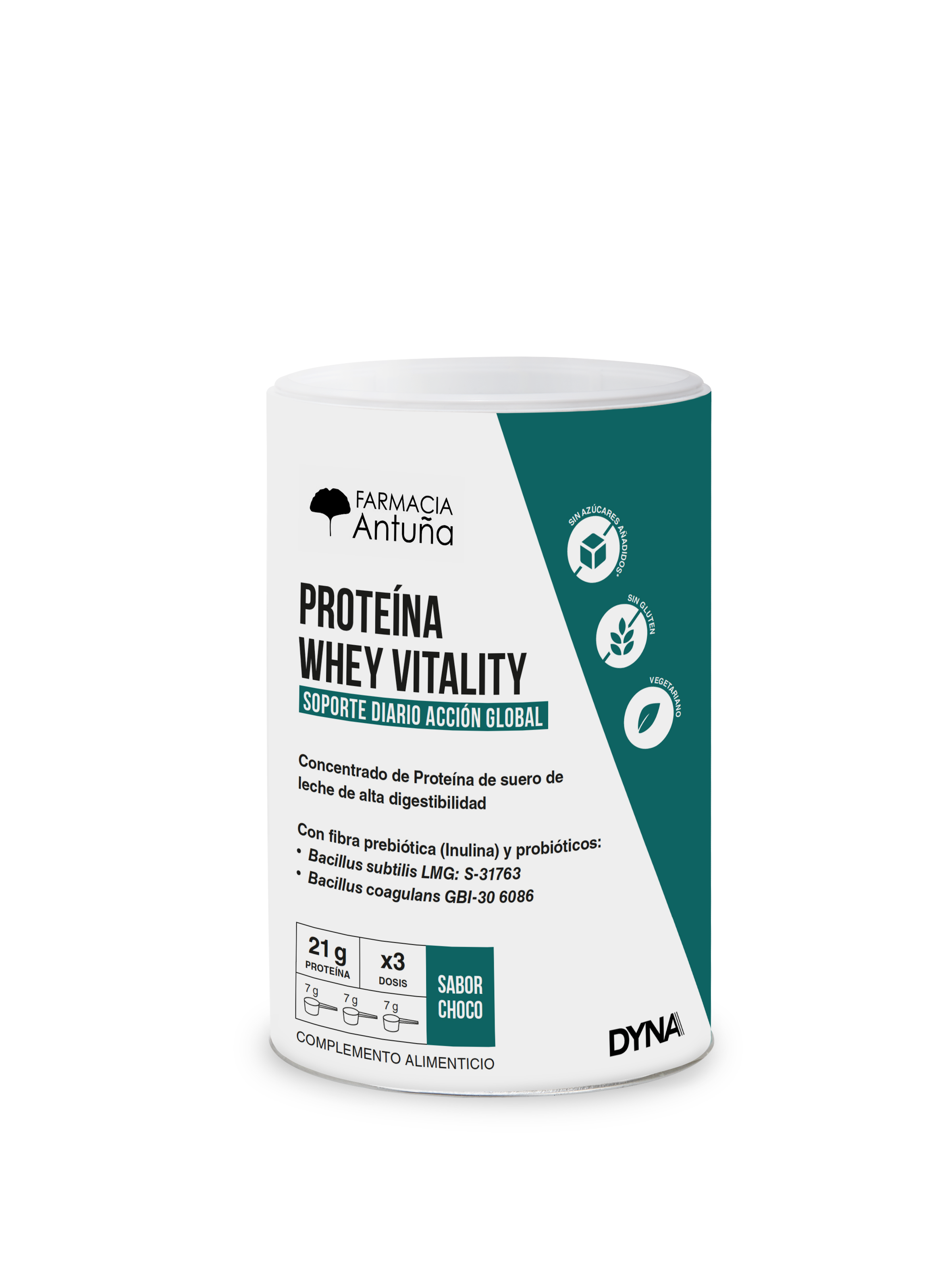 DYNA PROTEINA WHEY VITALITY CHOCO 300 GR 1 DYNA PROTEINA WHEY VITALITY CHOCO 300 GR